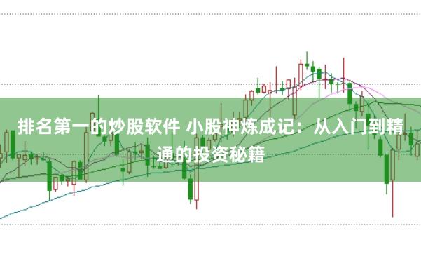 排名第一的炒股软件 小股神炼成记：从入门到精通的投资秘籍