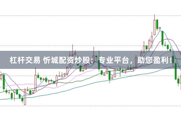 杠杆交易 忻城配资炒股:专业平台,助您盈利!