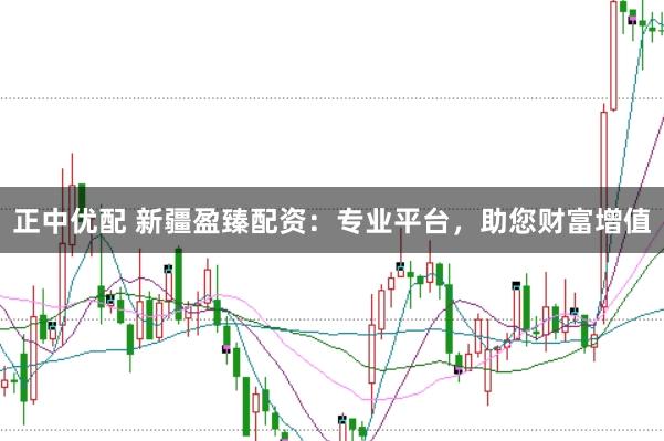 正中优配 新疆盈臻配资：专业平台，助您财富增值