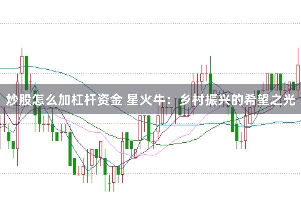 炒股怎么加杠杆资金 星火牛：乡村振兴的希望之光