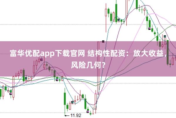 富华优配app下载官网 结构性配资：放大收益，风险几何？