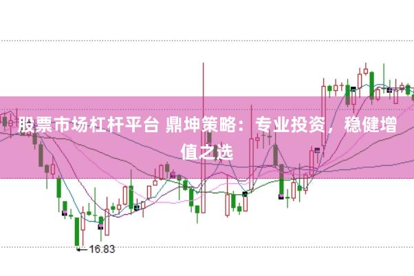 股票市场杠杆平台 鼎坤策略：专业投资，稳健增值之选