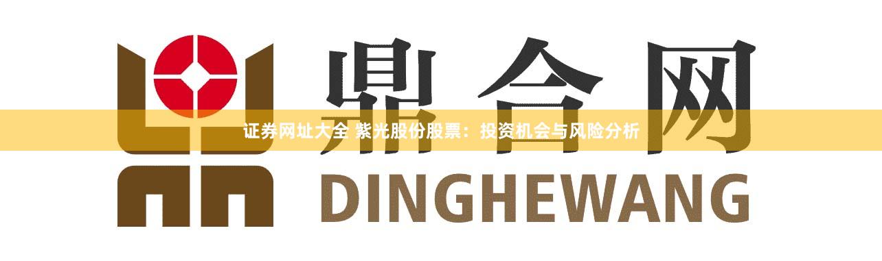 证券网址大全 紫光股份股票：投资机会与风险分析