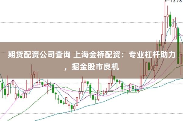 期货配资公司查询 上海金桥配资：专业杠杆助力，掘金股市良机